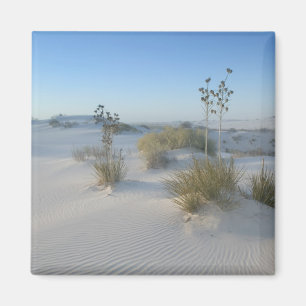 USA, New Mexico, White Sands National 2 Magnet