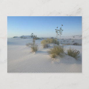 USA, New Mexico, White Sands National 2 Postcard