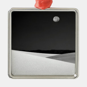 USA, New Mexico, White Sands National Monument. Metal Tree Decoration