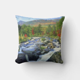 USA, New York. A waterfall in the Adirondack Cushion