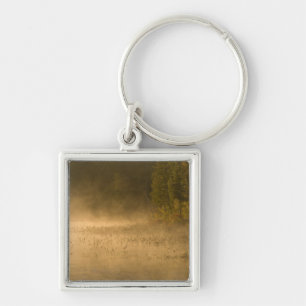 USA, New York, Adirondack Park. Sunrise mist on Key Ring