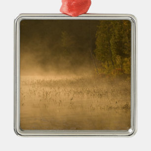 USA, New York, Adirondack Park. Sunrise mist on Metal Tree Decoration