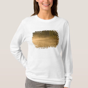 USA, New York, Adirondack Park. Sunrise mist on T-Shirt