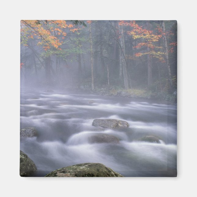 USA, New York, Adirondacks, Big Moose River Magnet (Front)