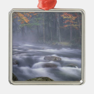 USA, New York, Adirondacks, Big Moose River Metal Tree Decoration