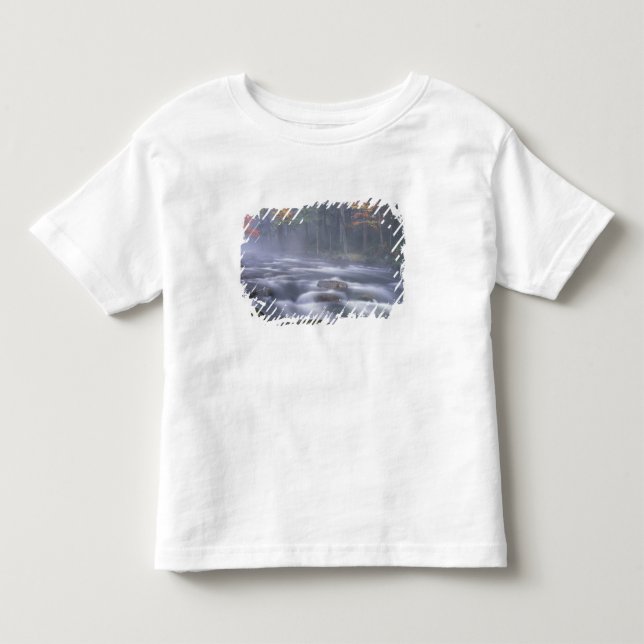 USA, New York, Adirondacks, Big Moose River Toddler T-Shirt (Front)