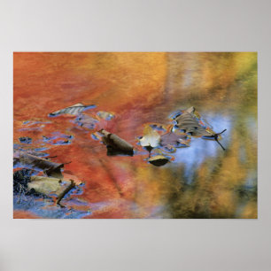 USA, New York, Adirondacks, Fallen Leaves in Poster