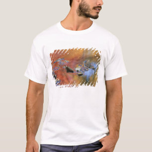 USA, New York, Adirondacks, Fallen Leaves in T-Shirt