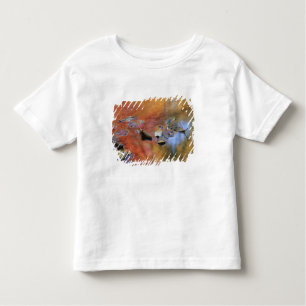 USA, New York, Adirondacks, Fallen Leaves in Toddler T-Shirt