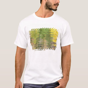 USA, New York, Adirondacks, Reflections in water T-Shirt