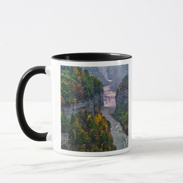 USA, New York, Letchworth State Park. River and Mug (Left)