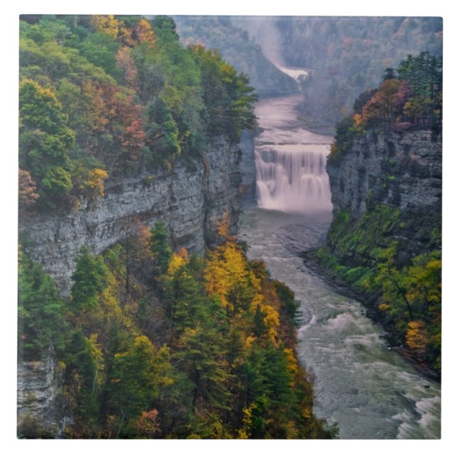USA, New York, Letchworth State Park. River and Tile (Front)