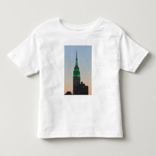 USA, New York, New York City, Manhattan: 2 Toddler T-Shirt