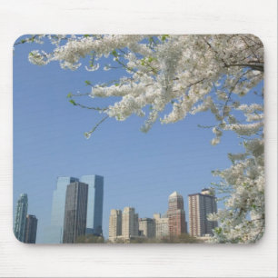USA, New York, New York City, Manhattan: 4 Mouse Pad