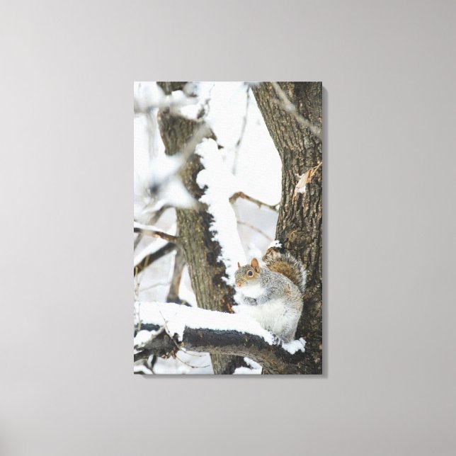 USA, New York, New York City, squirrel sitting Canvas Print (Front)