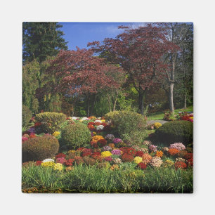 USA, New York, Saugerties, Seamon Park. Autumn Magnet