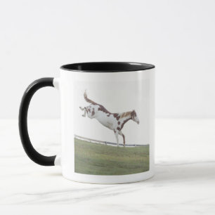 USA, New York State, Hudson, Horse jumping in Mug