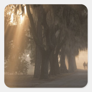 USA; North America; Georgia; Savannah. Boys Square Sticker