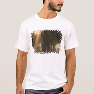 USA; North America; Georgia; Savannah. Boys T-Shirt