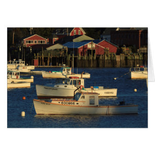 USA, North America, Maine, Bernard, Fishing