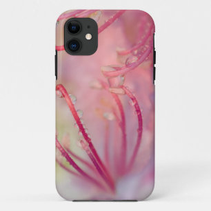 USA, North Carolina. Catawba rhododendron with Case-Mate iPhone Case