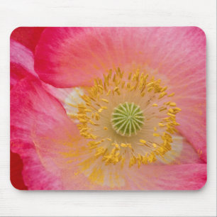 USA, North Carolina. Close-up of poppy interior Mouse Pad