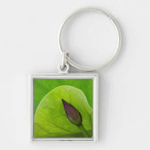 USA; North Carolina; Lotus leaf and bud Key Ring