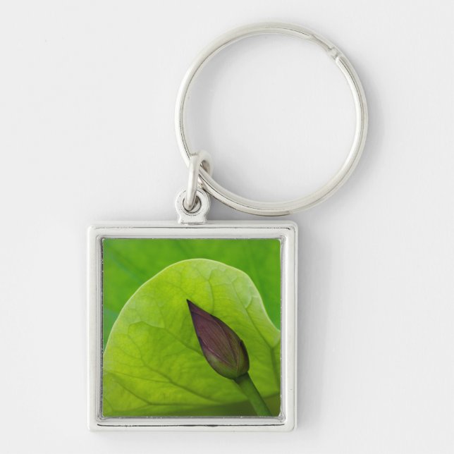 USA; North Carolina; Lotus leaf and bud Key Ring (Front)