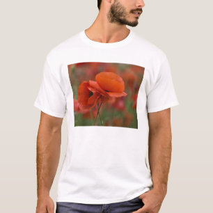 USA, North Carolina. Two red poppies T-Shirt