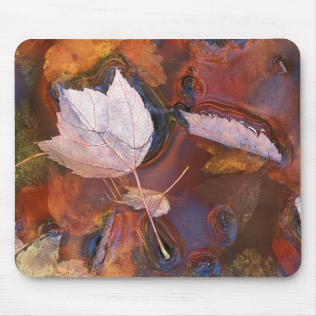 USA, Northeast, Fall leaves in puddle with Mouse Pad (Front)