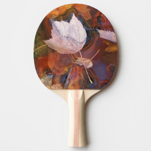 USA, Northeast, Fall leaves in puddle with Ping Pong Paddle