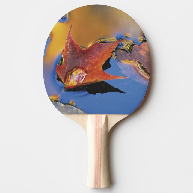 USA, Northeast, Maple Leaf in Reflection Ping Pong Paddle (Front)