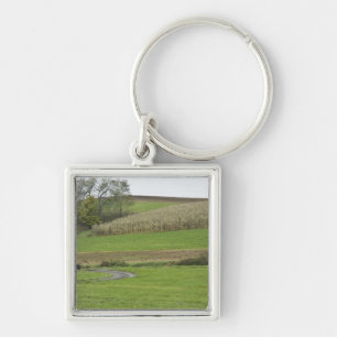 USA, Northeastern Ohio. Amish buggy on farm Key Ring