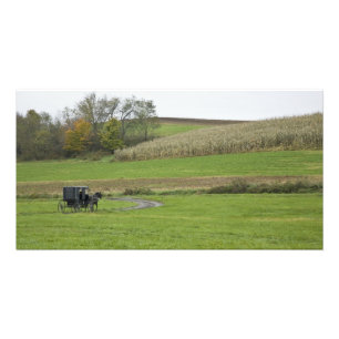 USA, Northeastern Ohio. Amish buggy on farm Photo Print