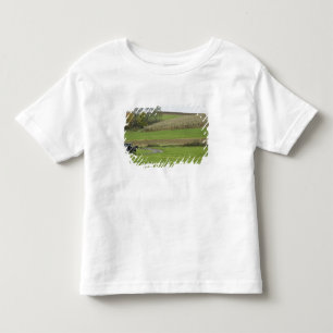 USA, Northeastern Ohio. Amish buggy on farm Toddler T-Shirt