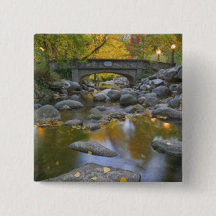 USA, Oregon, Ashland, Lithia Park. Autumn 15 Cm Square Badge
