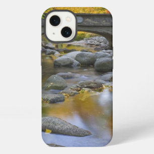 USA, Oregon, Ashland, Lithia Park. Autumn iPhone 13 Case