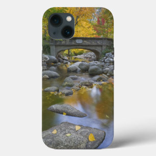 USA, Oregon, Ashland, Lithia Park. Autumn iPhone 13 Case