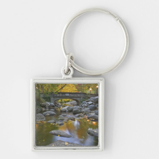 USA, Oregon, Ashland, Lithia Park. Autumn Key Ring (Front)