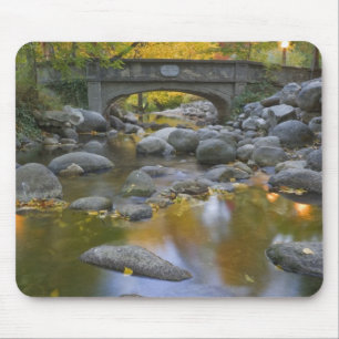 USA, Oregon, Ashland, Lithia Park. Autumn Mouse Pad