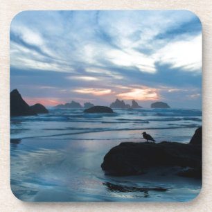 USA, Oregon, Bandon Beach. Seagull on rock Coaster