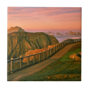 USA, Oregon, Bandon. Rocks Viewed From Trail Tile