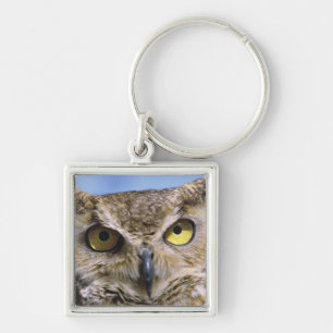 USA, Oregon, Bend. Great Horned Owls are common Key Ring