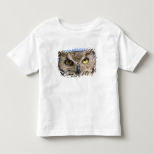 USA, Oregon, Bend. Great Horned Owls are common Toddler T-Shirt