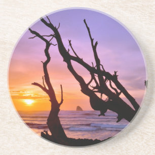 USA, Oregon, Cape Meares. Sunset Coaster