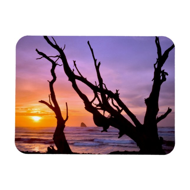 USA, Oregon, Cape Meares. Sunset Magnet (Horizontal)