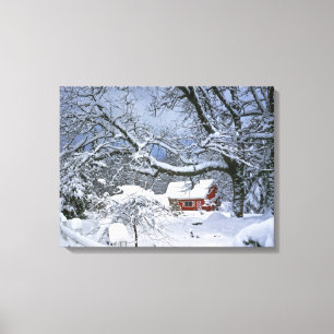 USA, Oregon, Clackamas County. Fresh snow Canvas Print
