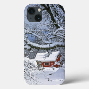 USA, Oregon, Clackamas County. Fresh snow iPhone 13 Case
