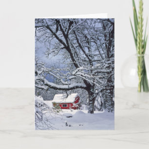 USA, Oregon, Clackamas County. Fresh snow covers Holiday Card