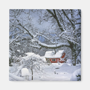 USA, Oregon, Clackamas County. Fresh snow Magnet